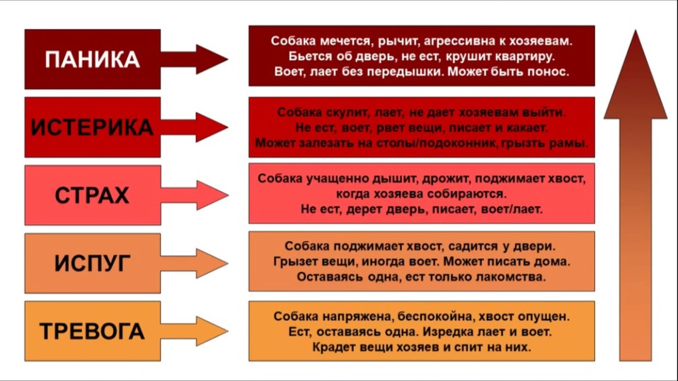 1000026016